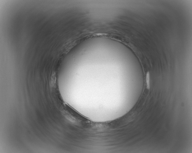 X0000082761443200701261113