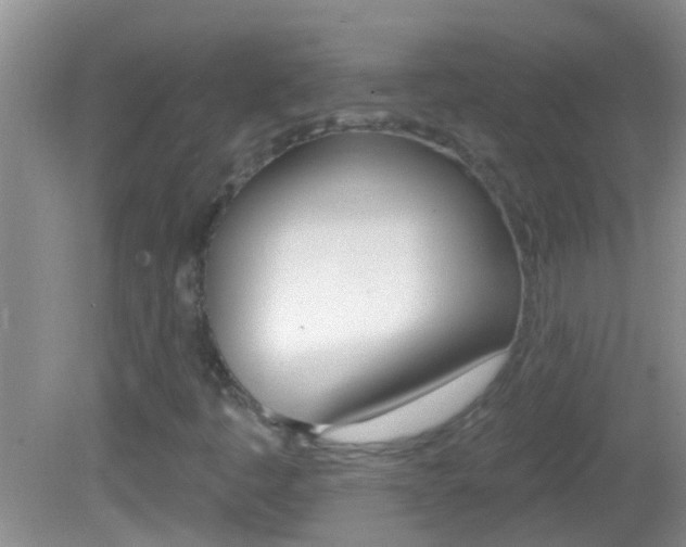X0000082761445200701261113