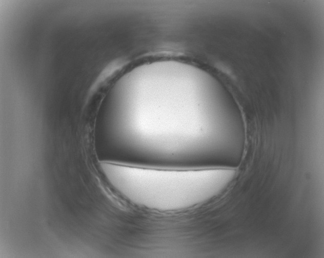 X0000082761448200701261113