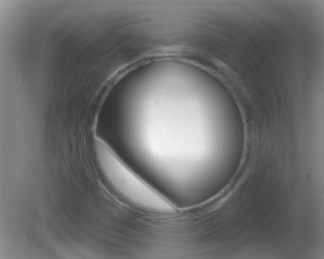 X0000082761449200701261113