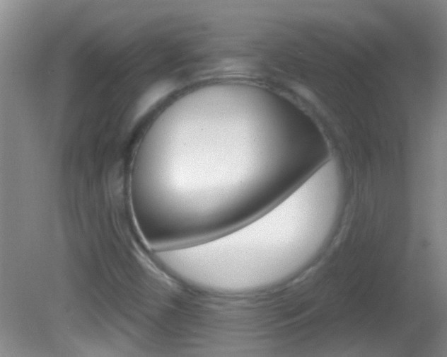 X0000082761450200701261113