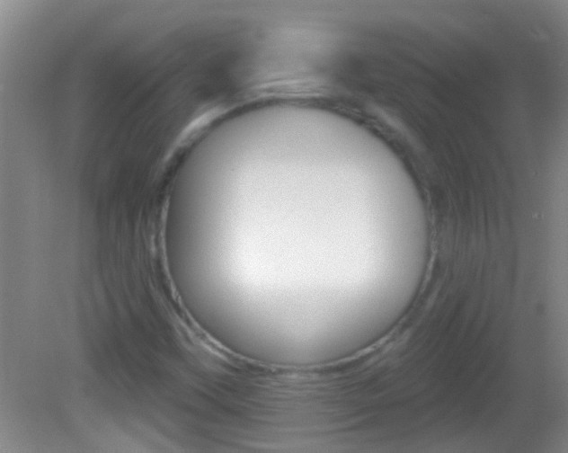 X0000082761451200701261113