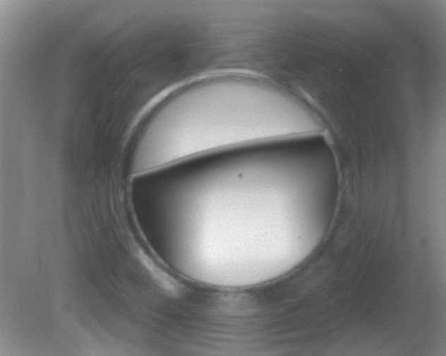 X0000082761452200701261113
