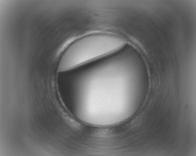 X0000082761455200701261113