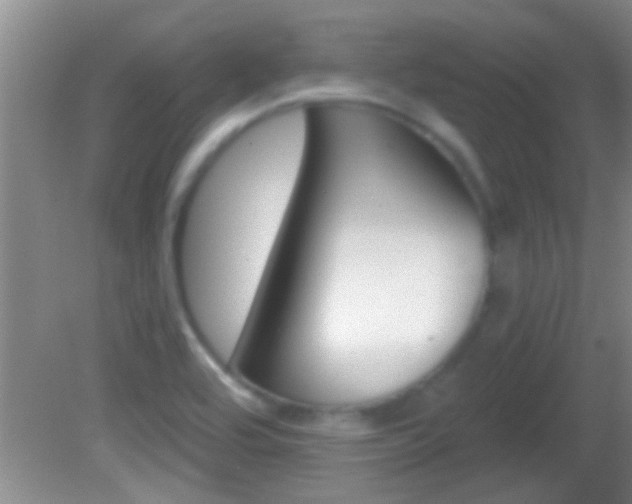 X0000082761464200701261113