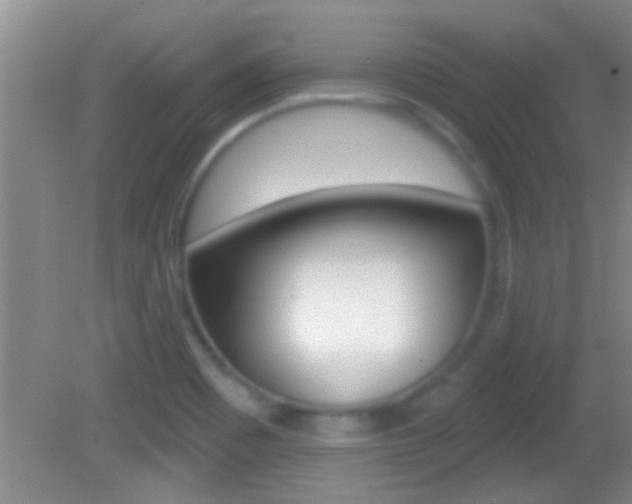 X0000082761465200701261113