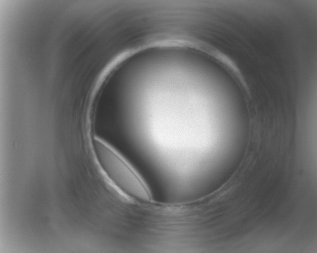 X0000082761480200701261112