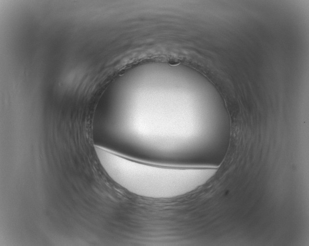X0000082761490200701261111