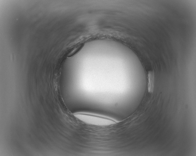 X0000082761491200701261111