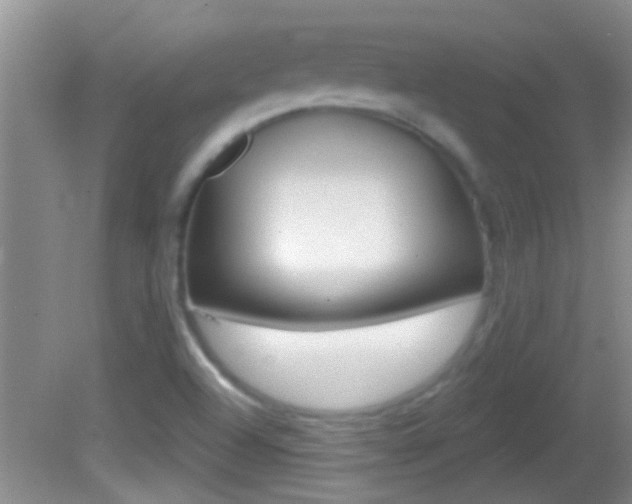 X0000082761504200701261112