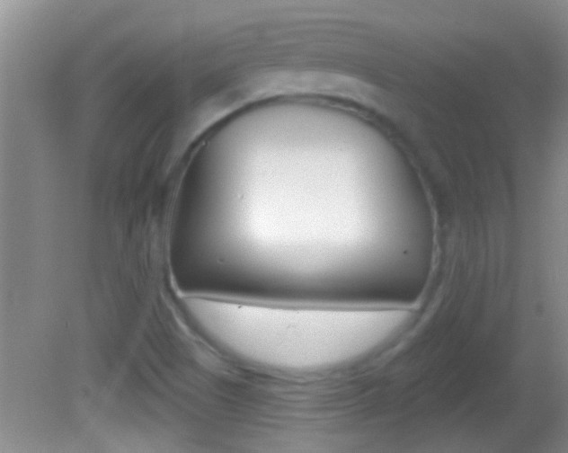 X0000082761505200701261112