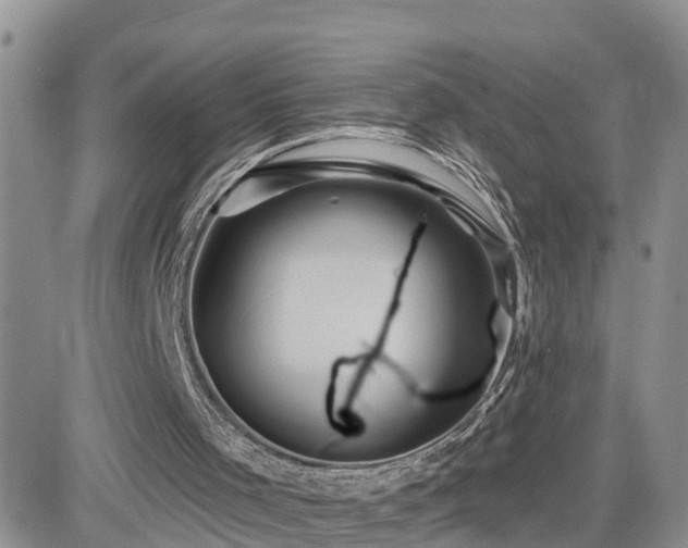 X0000082760001200701261459