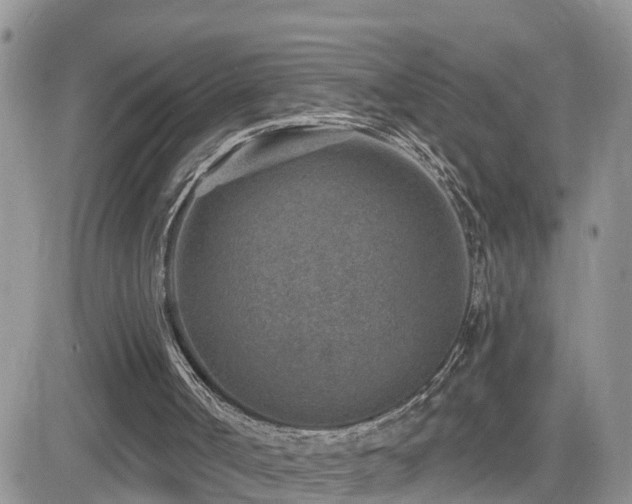 X0000082760002200701261459