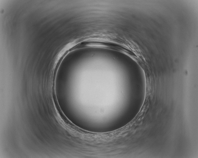 X0000082760003200701261459