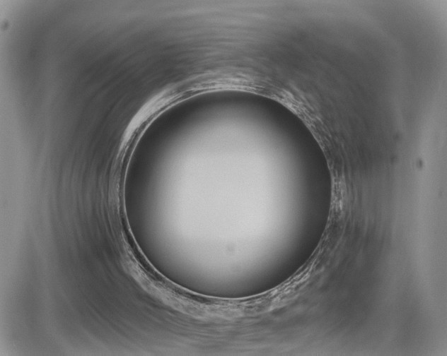 X0000082760004200701261459