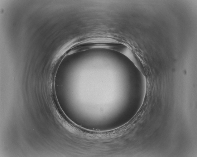 X0000082760005200701261459