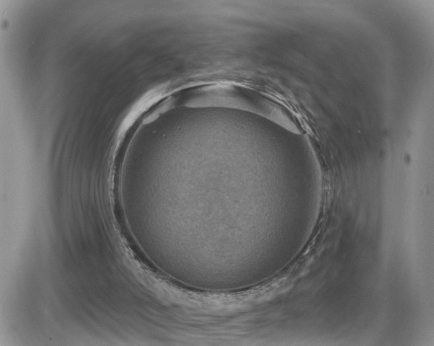 X0000082760006200701261459