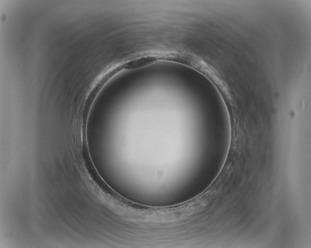 X0000082760011200701261459