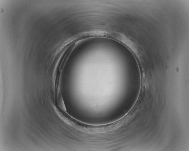 X0000082760013200701261459