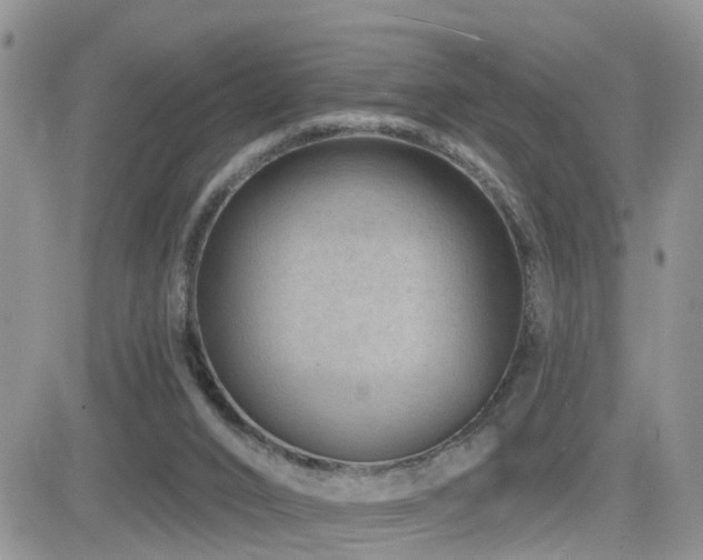 X0000082760016200701261459
