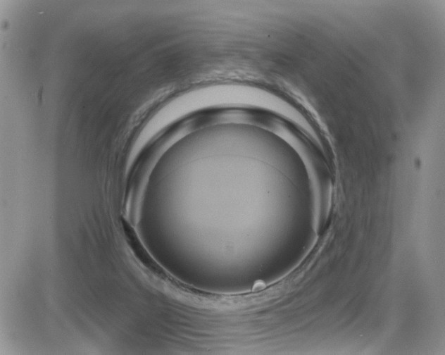 X0000082760019200701261459