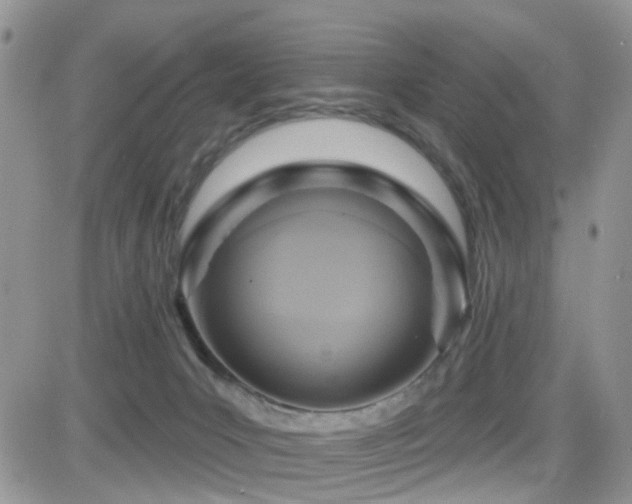 X0000082760031200701261458