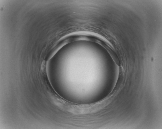 X0000082760033200701261458