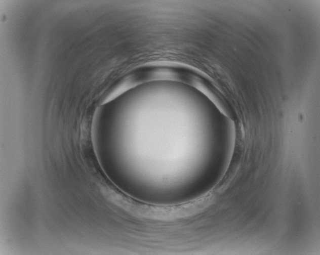 X0000082760037200701261458
