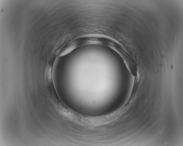 X0000082760041200701261458