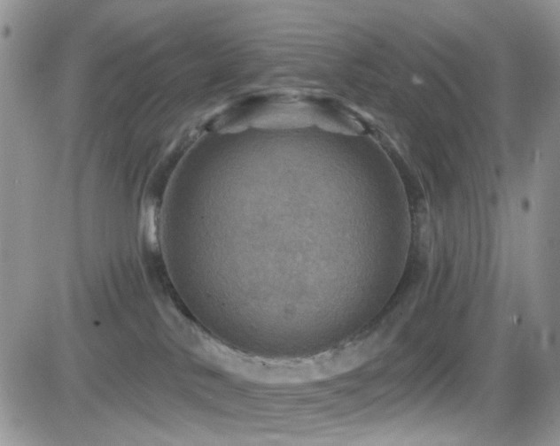 X0000082760042200701261458