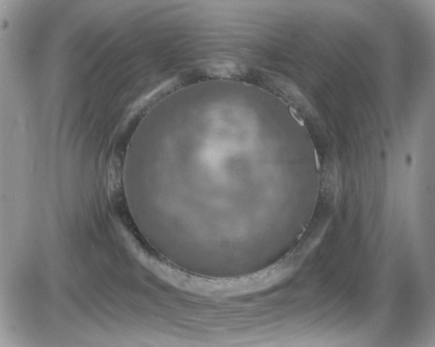 X0000082760043200701261458