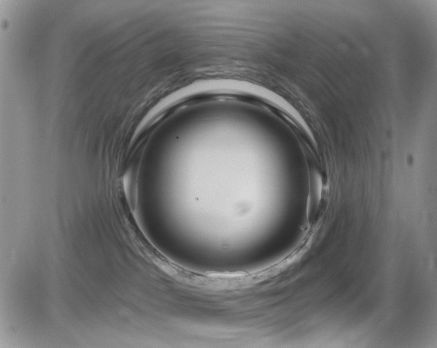 X0000082760045200701261458