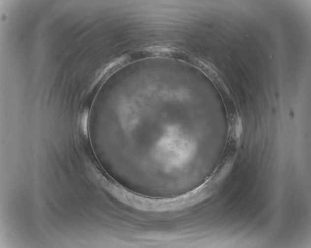 X0000082760047200701261458