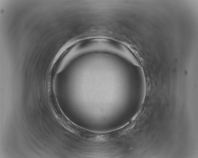 X0000082760056200701261457