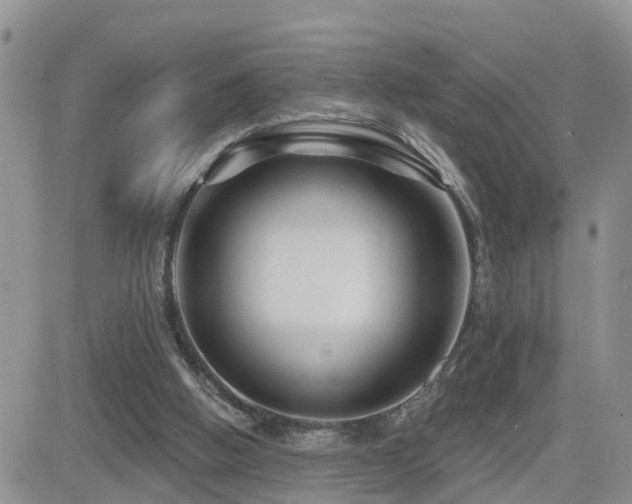 X0000082760058200701261457