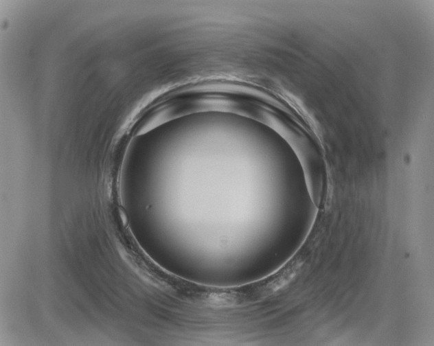 X0000082760060200701261457