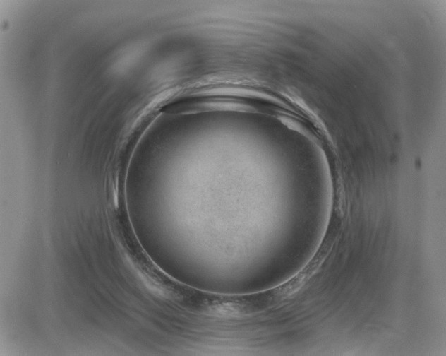 X0000082760062200701261458