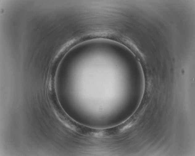 X0000082760068200701261458