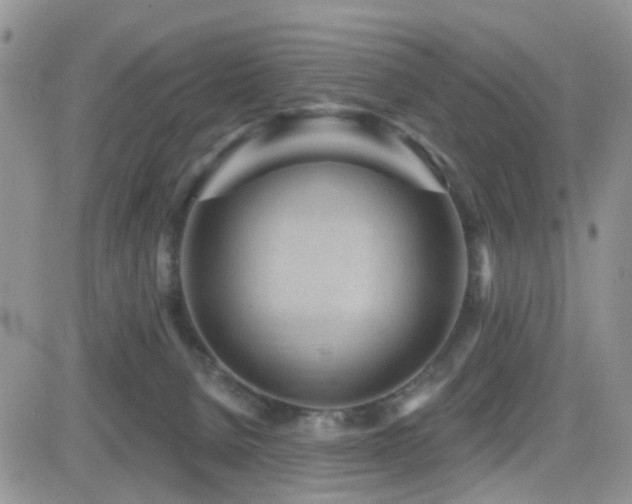 X0000082760080200701261458