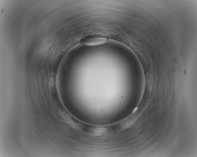 X0000082760085200701261458
