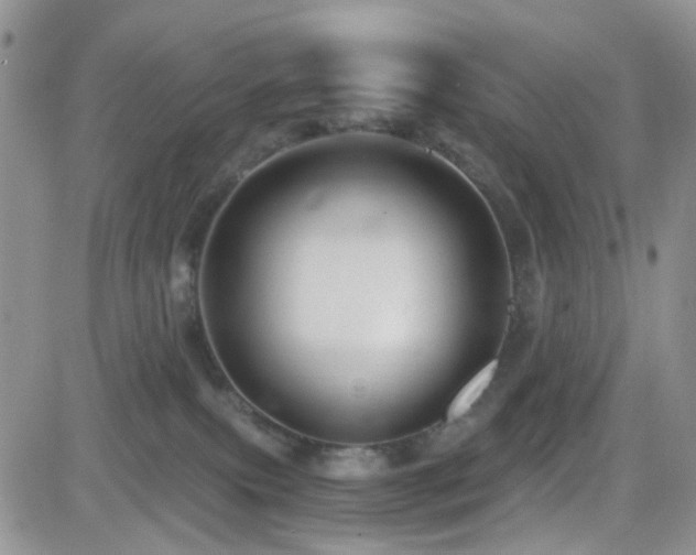 X0000082760087200701261458