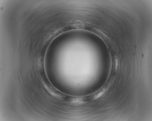 X0000082760088200701261458
