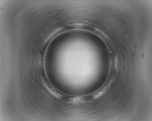 X0000082760092200701261458