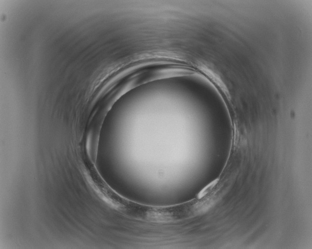 X0000082760109200701261457