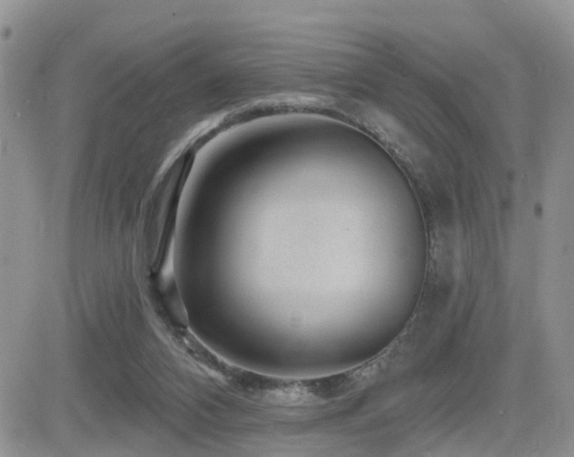 X0000082760112200701261457