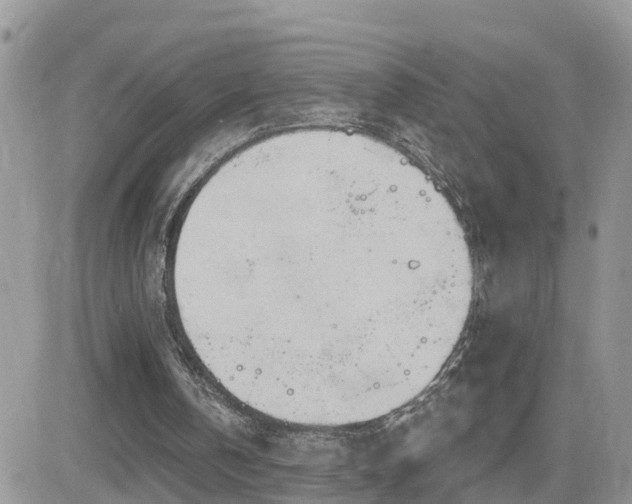 X0000082760146200701261456