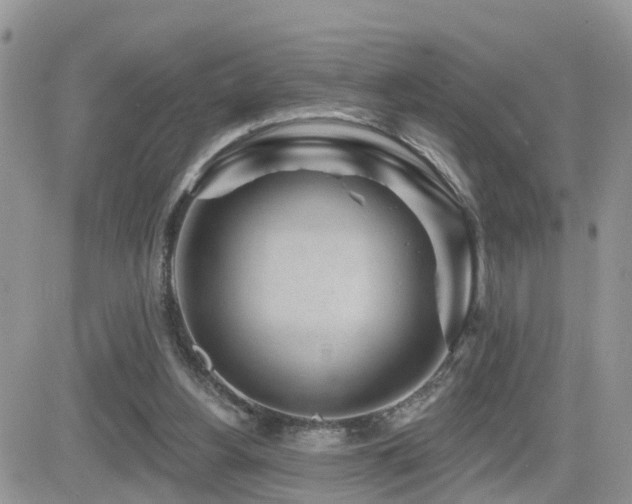 X0000082760156200701261456