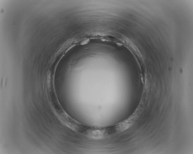 X0000082760163200701261456