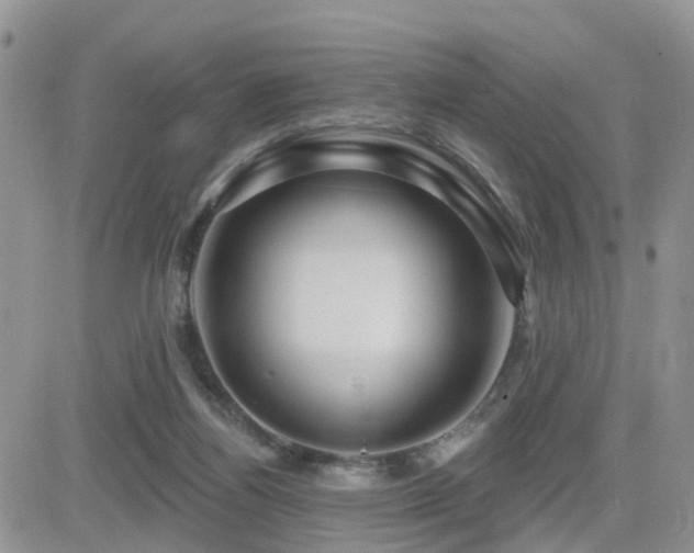 X0000082760164200701261456