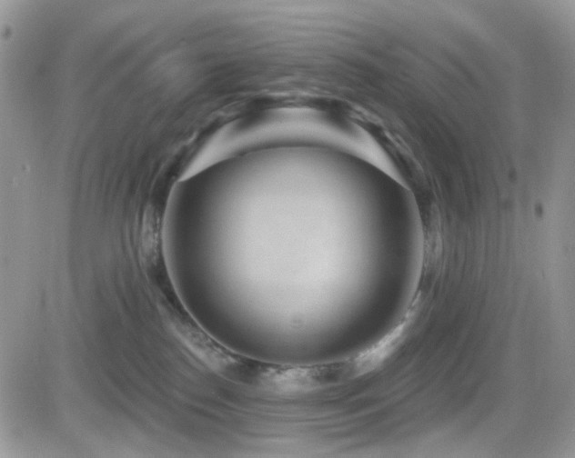 X0000082760186200701261456
